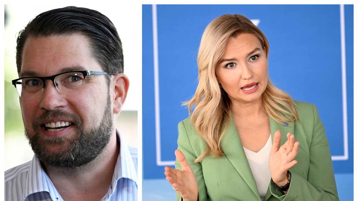 Ebba Busch (KD) utesluter inte att Sverigedemokraterna kan få en ministerpost i framtiden.