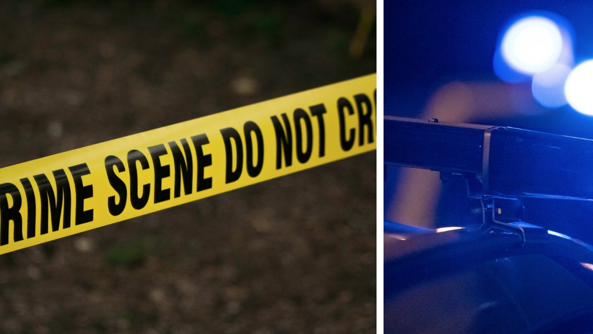 En tvåårig pojke sköt ihjäl sin pappa av misstag.