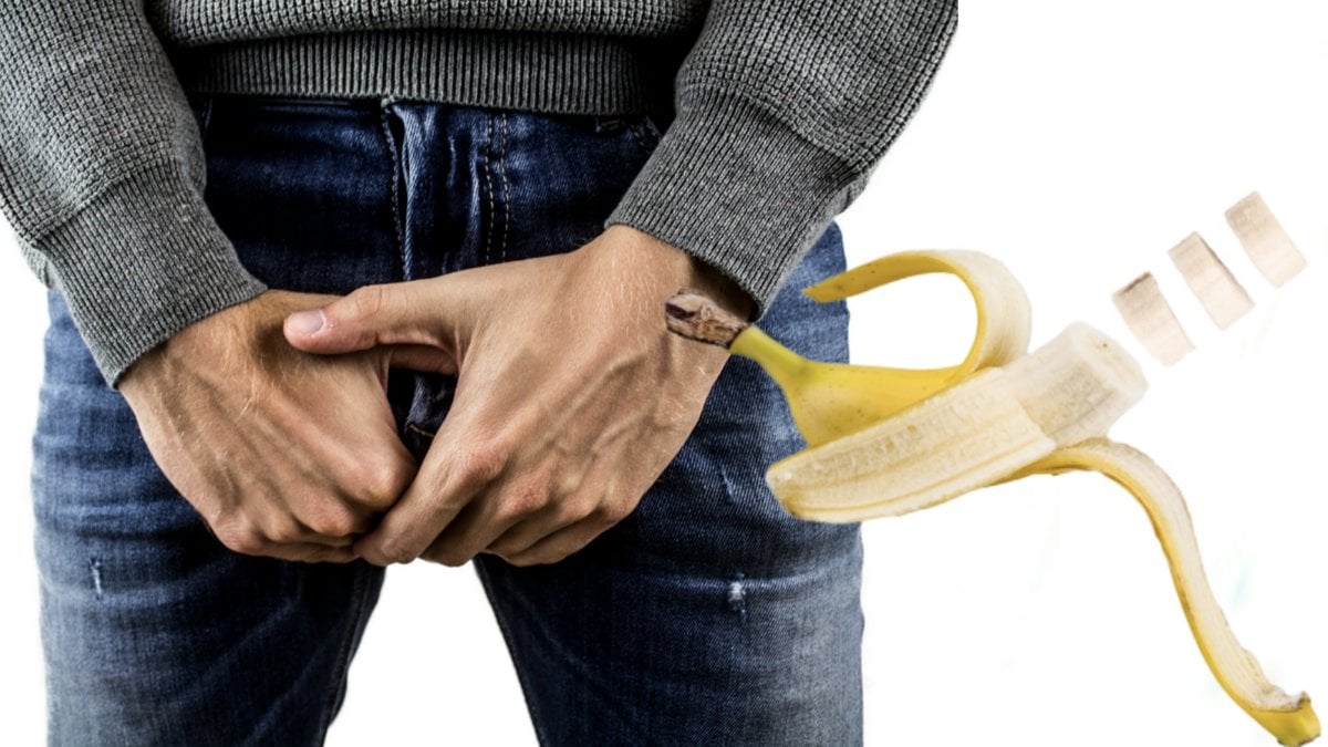 Penis