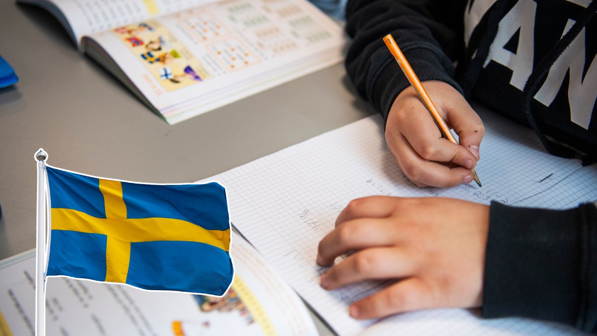 Flaga, skola, elev