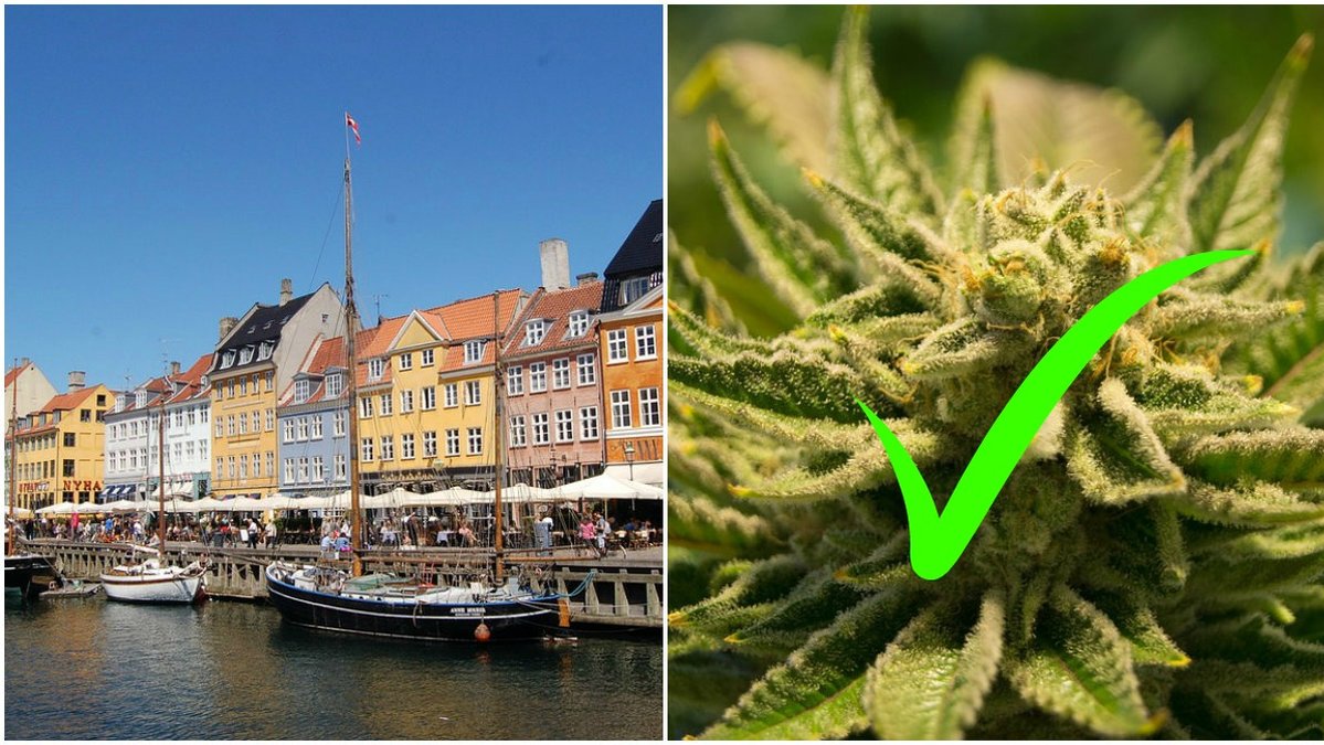 Laglig cannabis