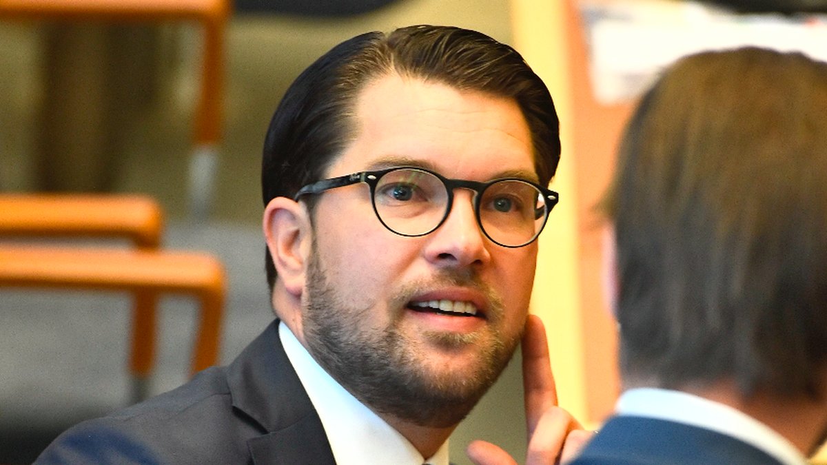 Jimmie Åkesson ler