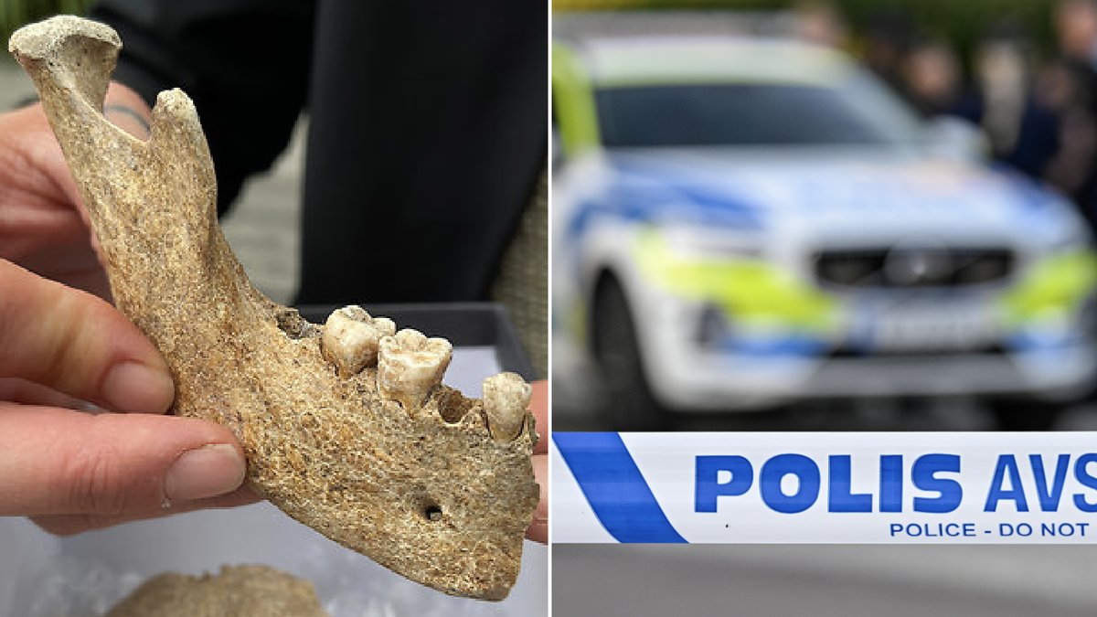 Skelettdelarna hittades i en villaträdgård. 