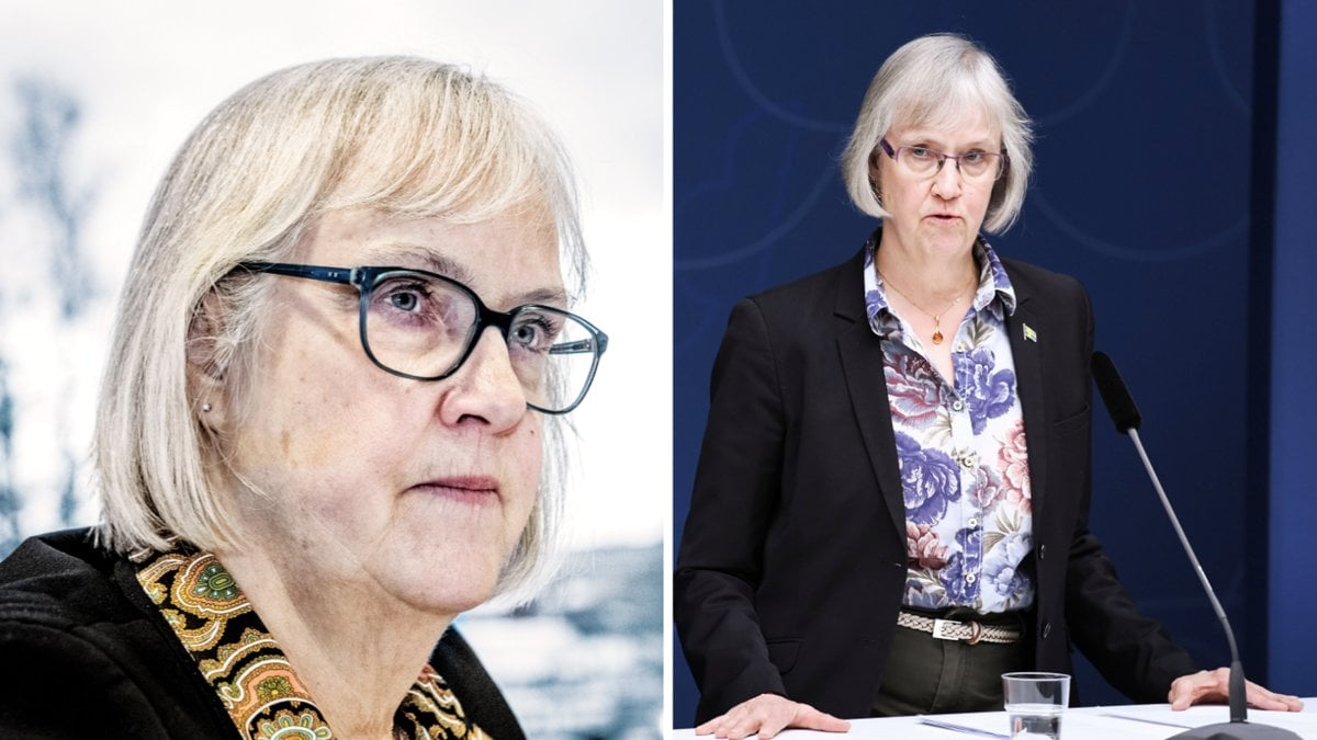 Lena Erixon, Trafikverkets generaldirektör