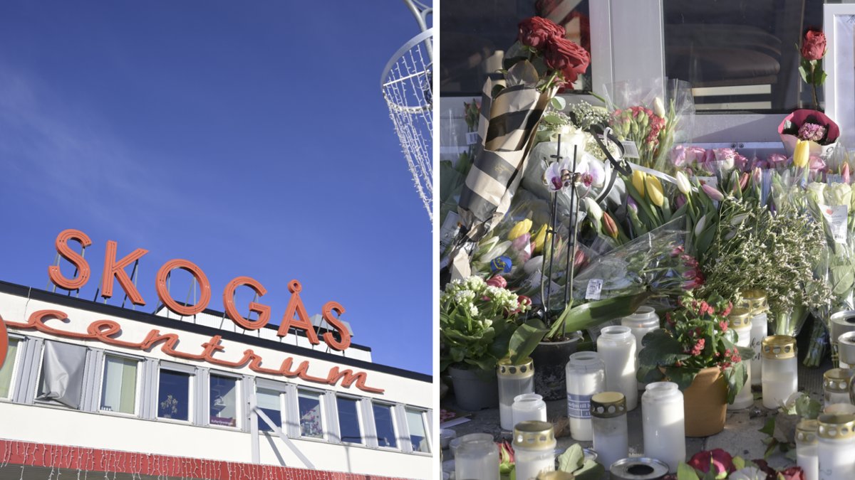 15-åring häktad för mordet i Skogås