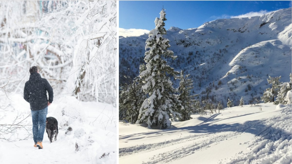 En man som går i snön med sin hund och en bild på ett fjäll i Norra Sverige 