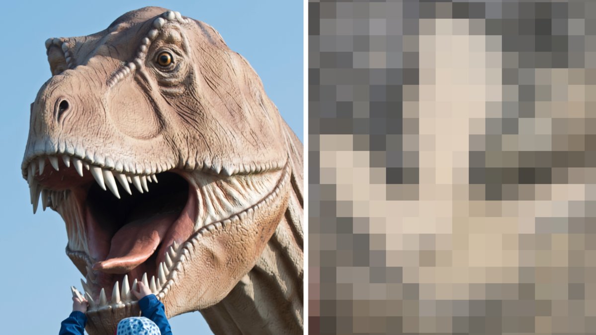 Den oändliga historien skrivs nu om efter det unika fyndet.