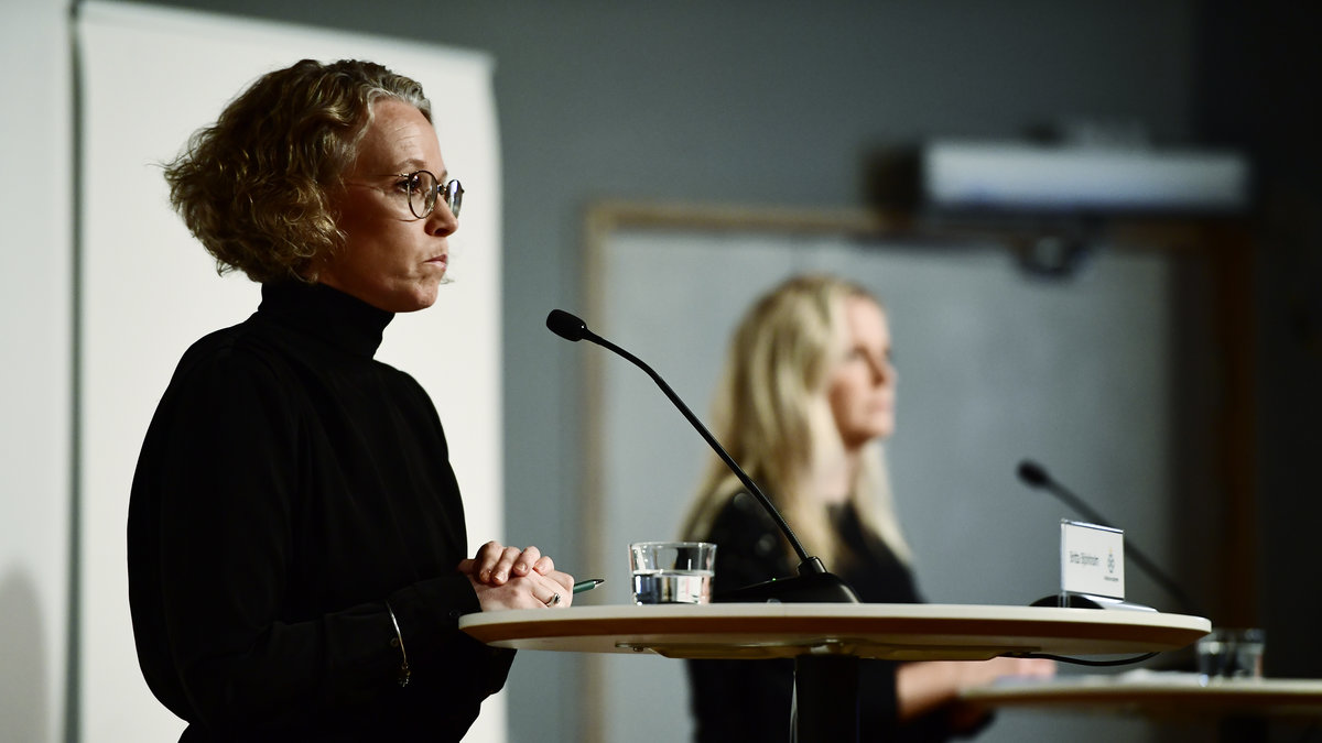 Britta Björkholm