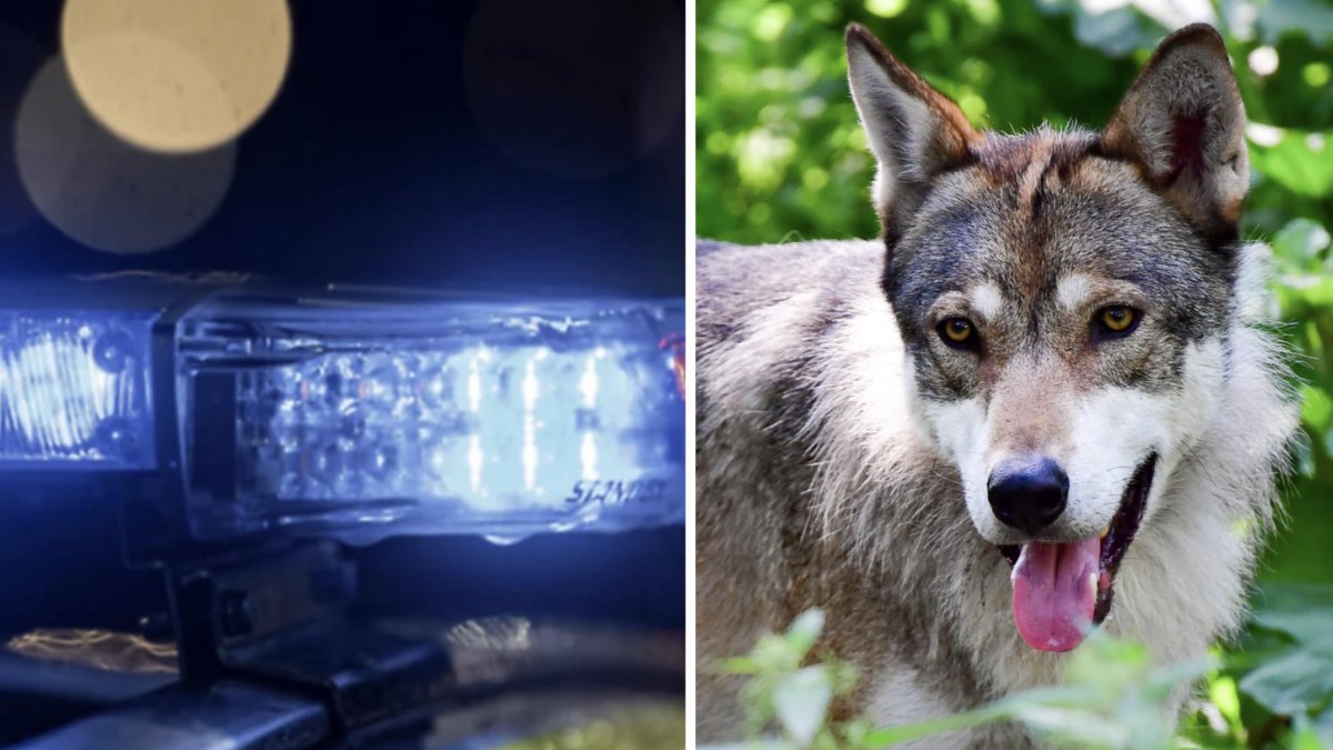 Ingen person har kommit till skada. Arkivbild.