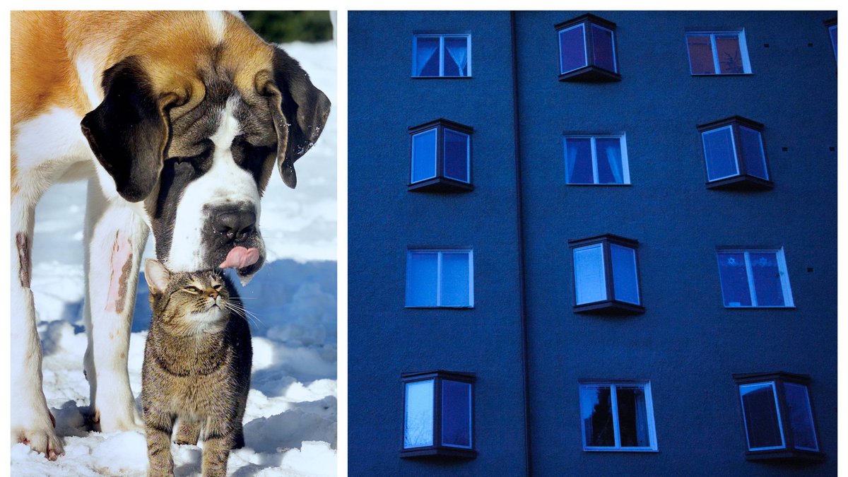 Elen kan komma att stängas av i kortare perioder i vinter.