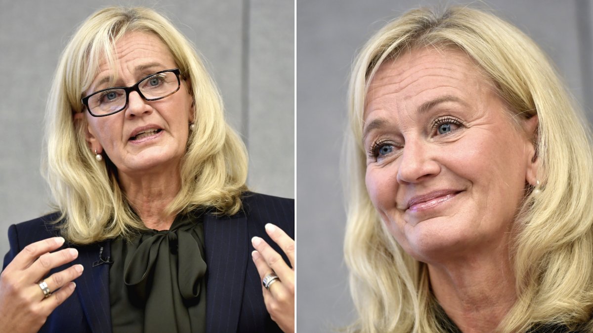 Hur stor är egentligen Carina Åkerströms fömögenhet?