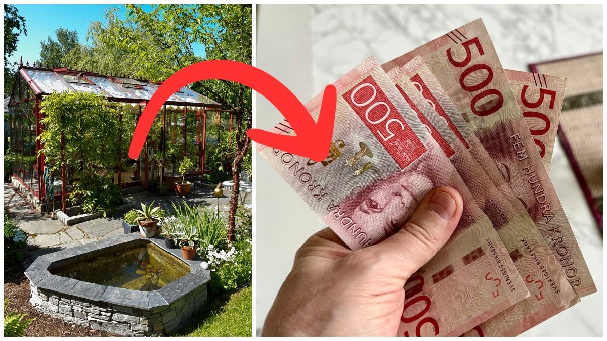 Växten är sedan den 2 augusti förbjuden att odla. 