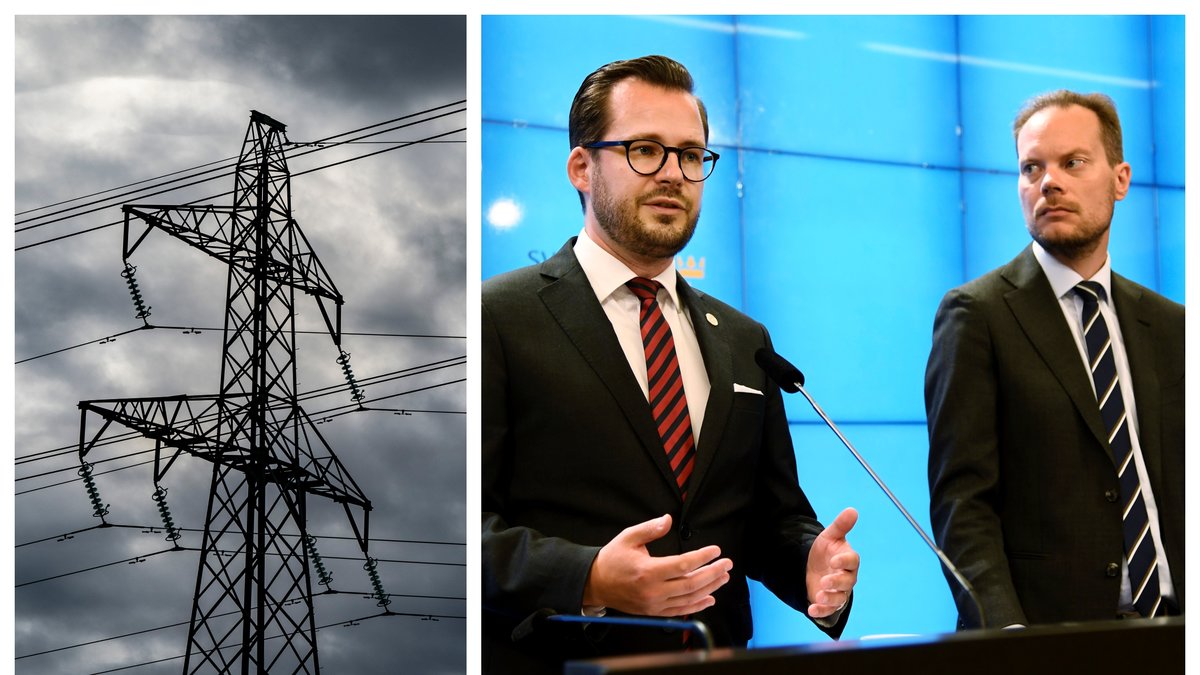 Sverigedemokraterna vill bland annat slopa momsen på el under vintern.