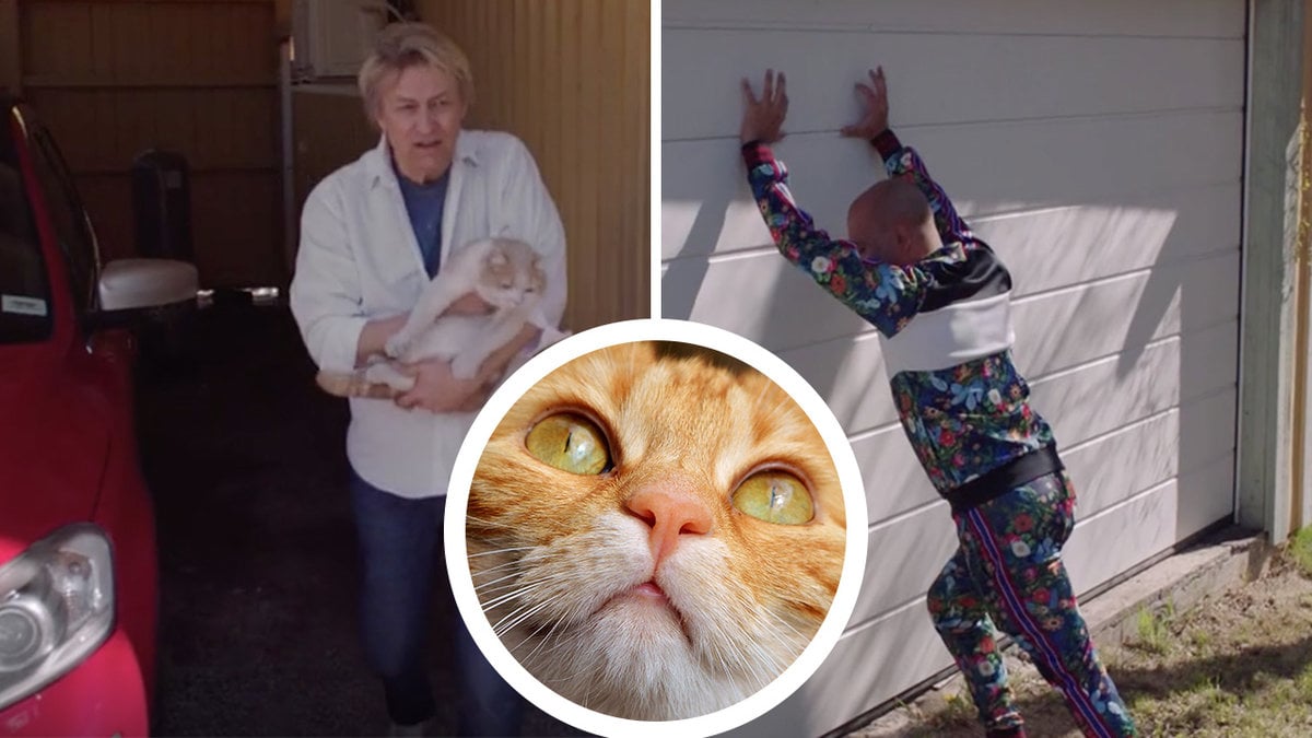katt, man i vit skjorta håller katt, man i mönstrad klädsel hänger mot garage