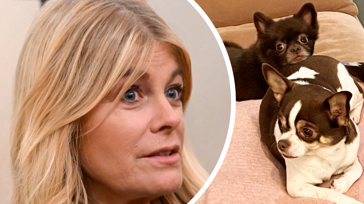 Pernilla Wahlgren vänster. Sammy och Dino, hundarna, höger.