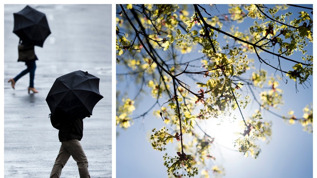 Hur blir vädret på Valborg 2021? Nyheter24 har pratat med SMHI!