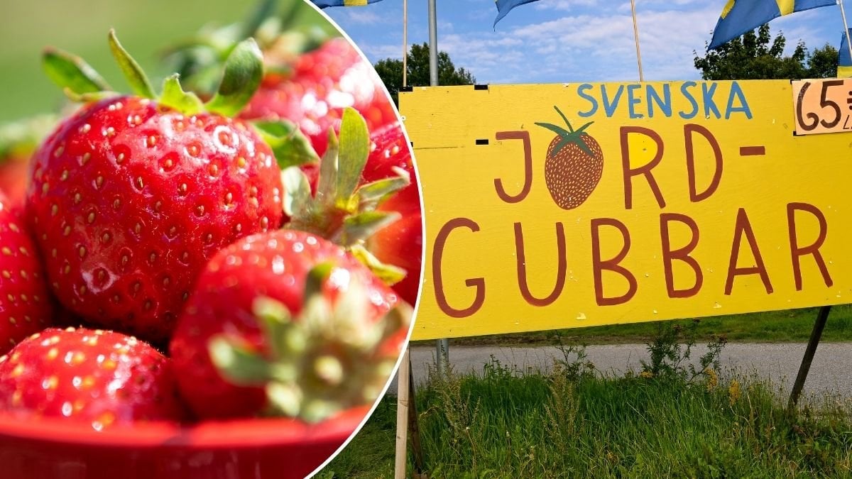 Bilder på jordgubbar och en skylt med svenska jordgubbar.