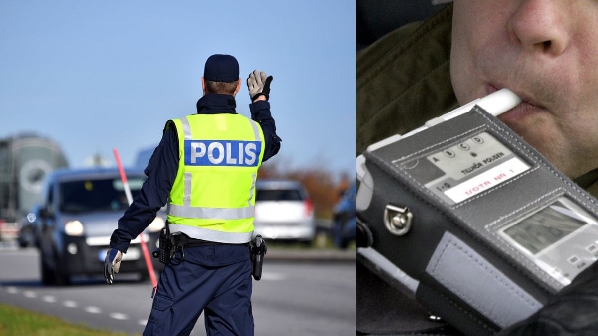 Polis Rattfylla