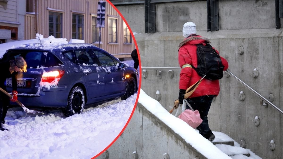 Skotta snö och snöoväder.