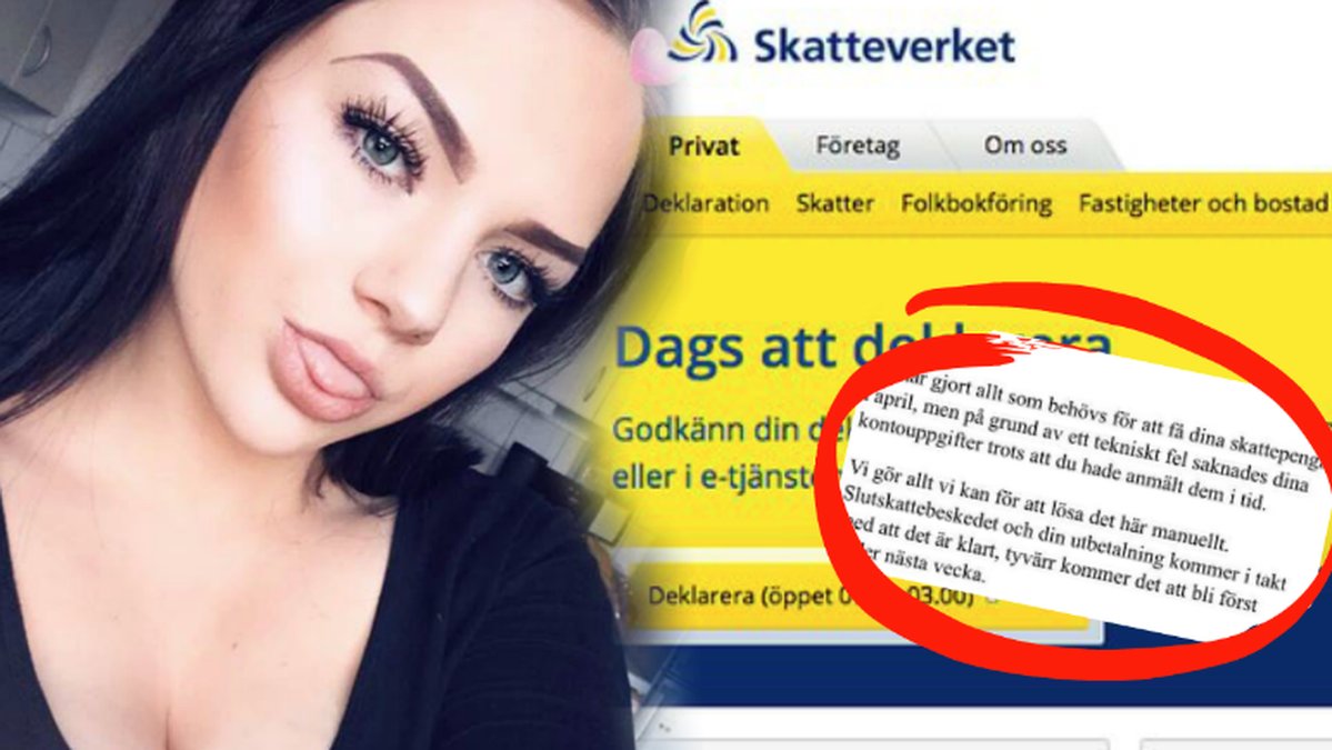 Skatteverket