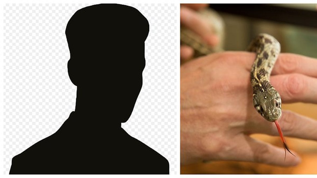 Berusad man bet ihjäl orm, efter att först ha blivit biten själv. 