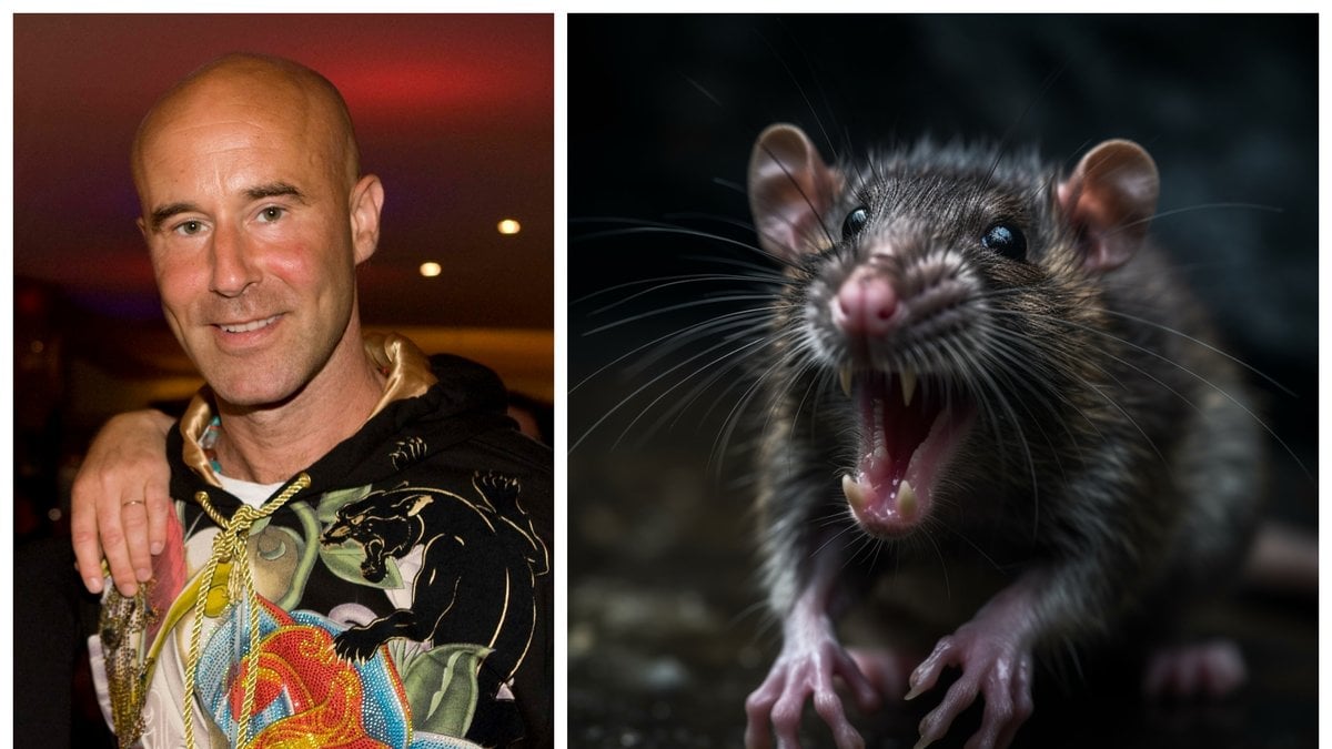 Mark Levengood fick ovälkommet besök – av en råtta. 