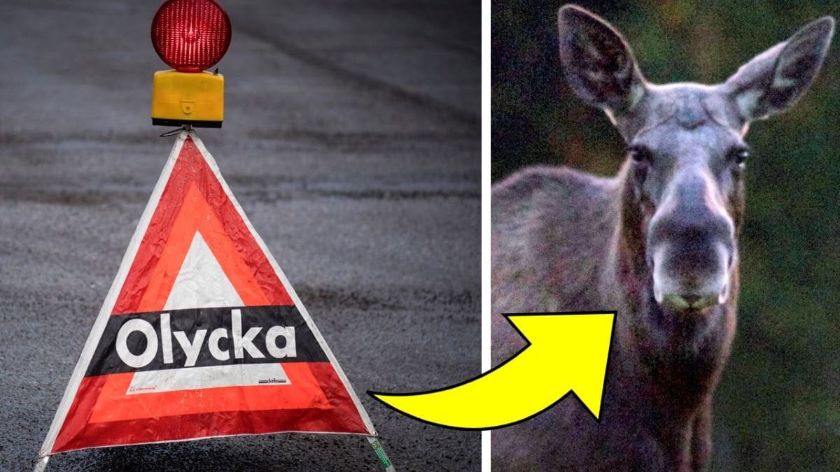 Trafikolycka