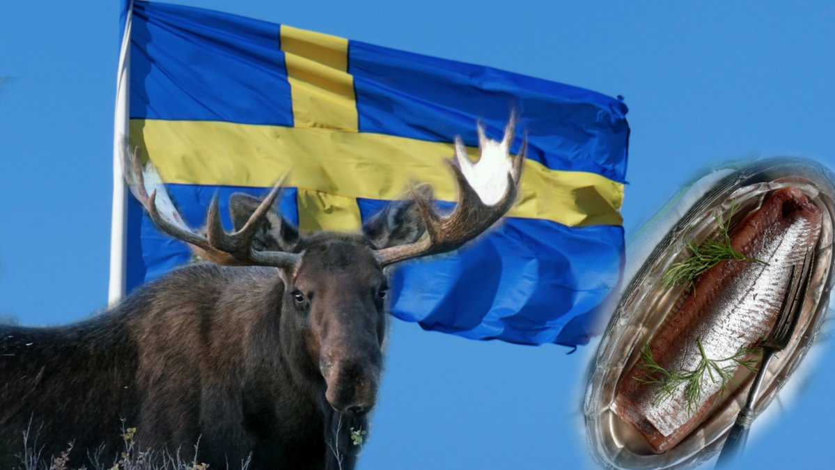 Älg/Svenska flaggan/sill