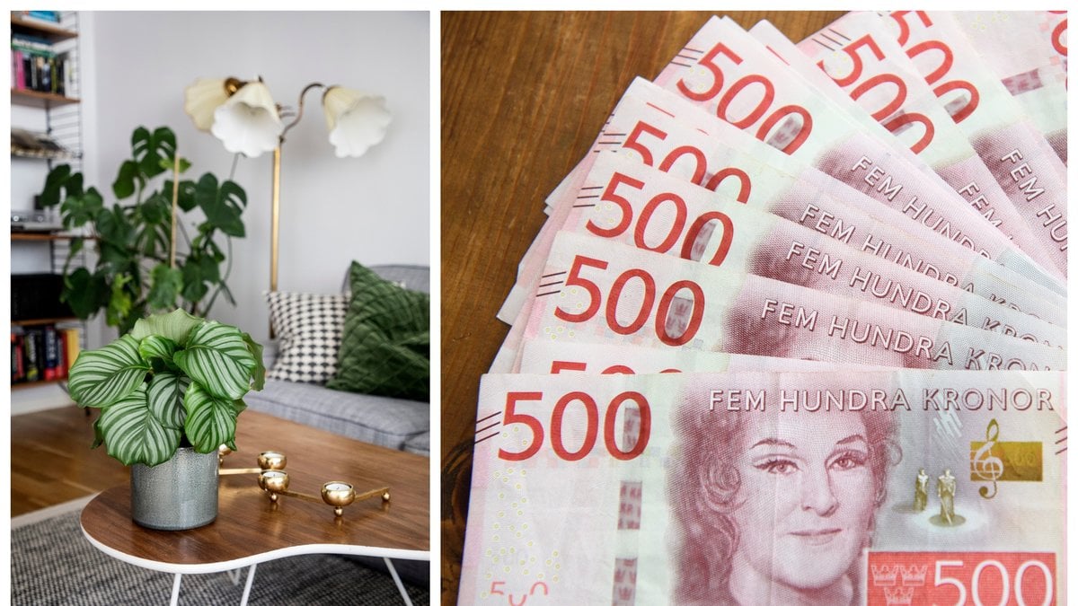 Man kan hitta flera dyrgripar om man vet vad man ska leta efter.