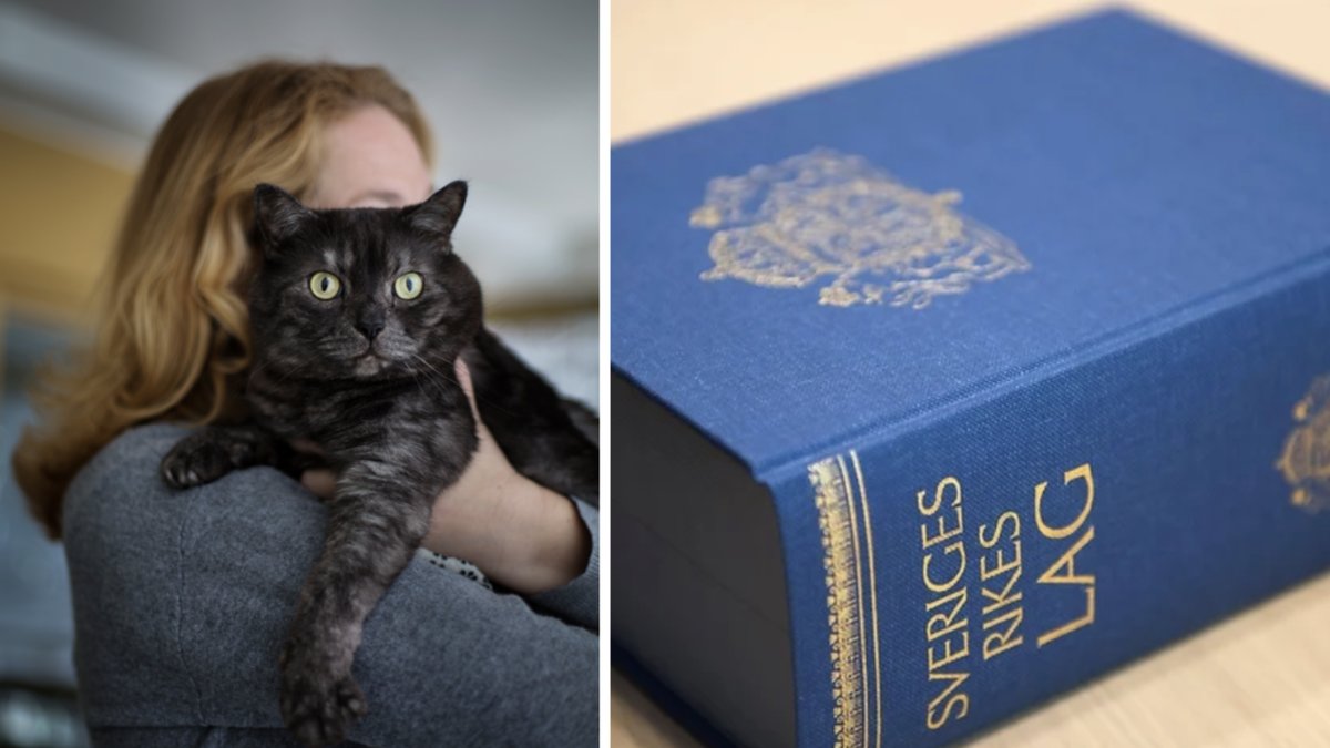 Över en miljon katter saknas i Jordbruksverkets​ register, vilket är ett brott mot lagen.