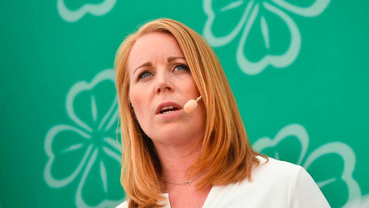 Centerpartiet vill lägga fokus på invandring och integration. 