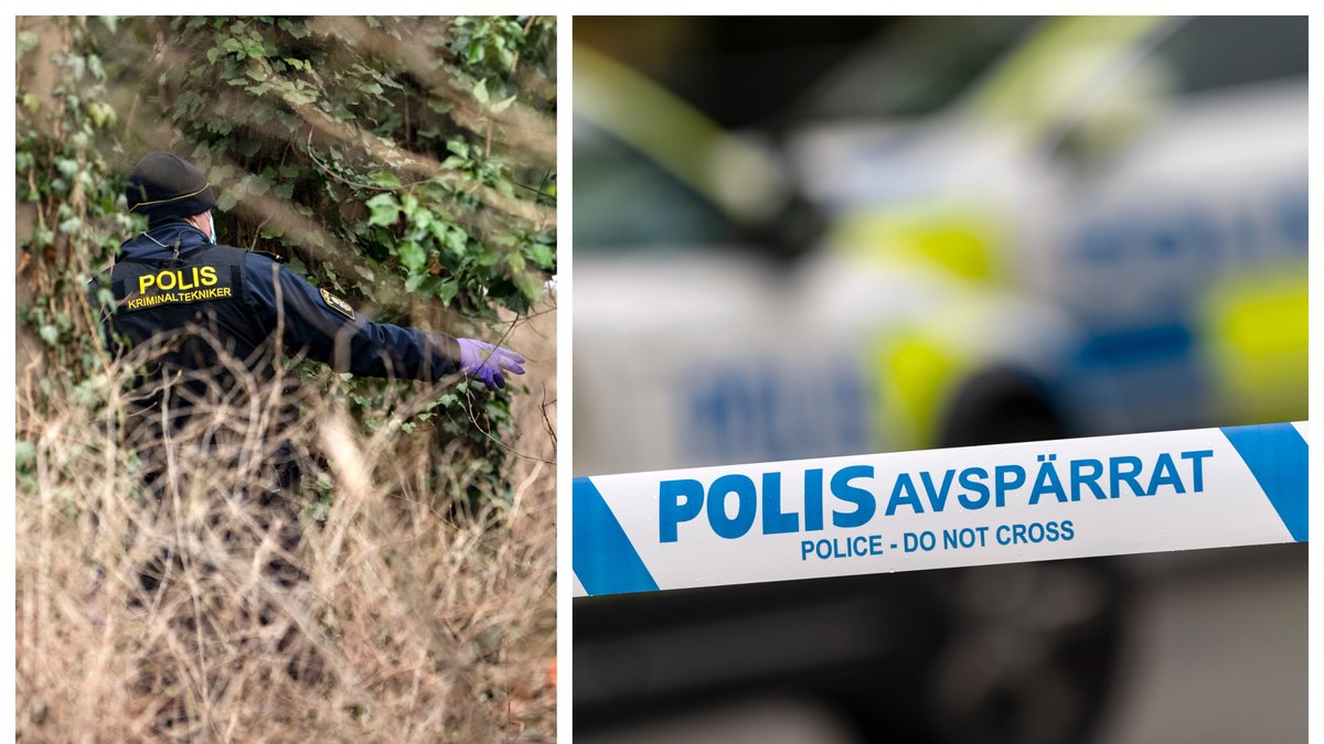 Skelettet hittades i Slottsparken i Malmö.