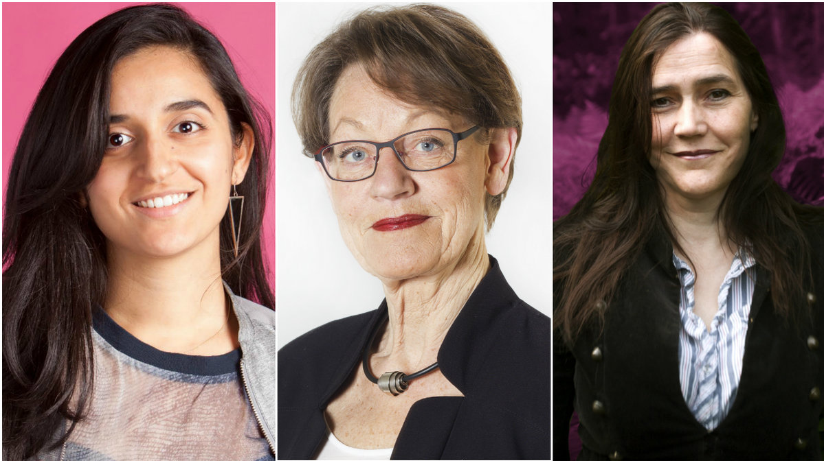 Farida Al-Abani, Gudrun Schyman, Lotten Sunna
