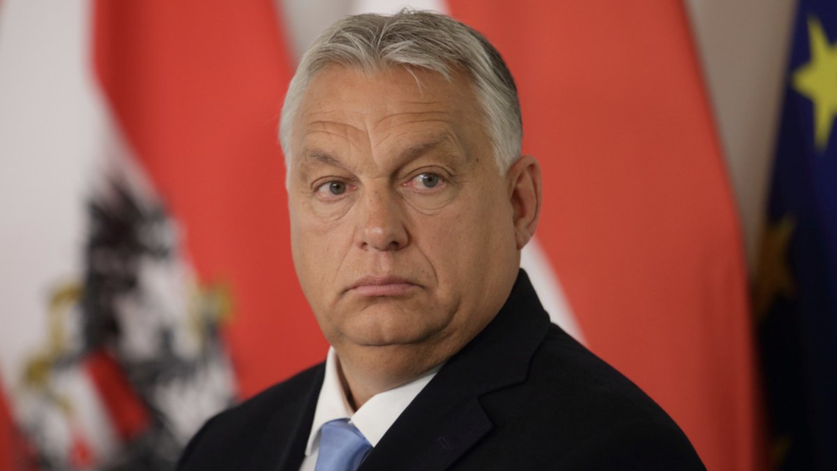 Ungern har lovat att inte vara sist att godkänna Sverige. Arkivbild.