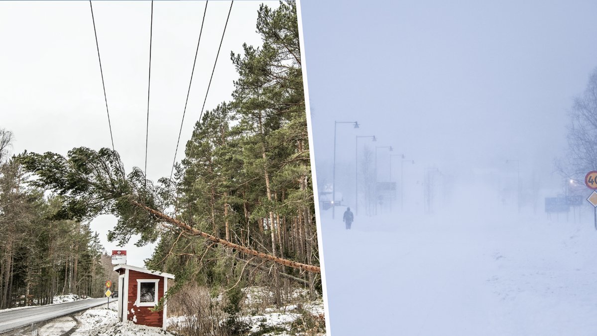 Bråte efter storm. Snöoväder.