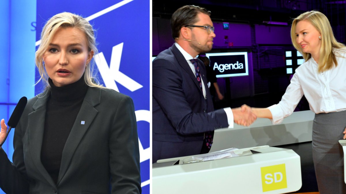 KD ändrar på hemsidan – efter Buschs uttalande om partiets historia