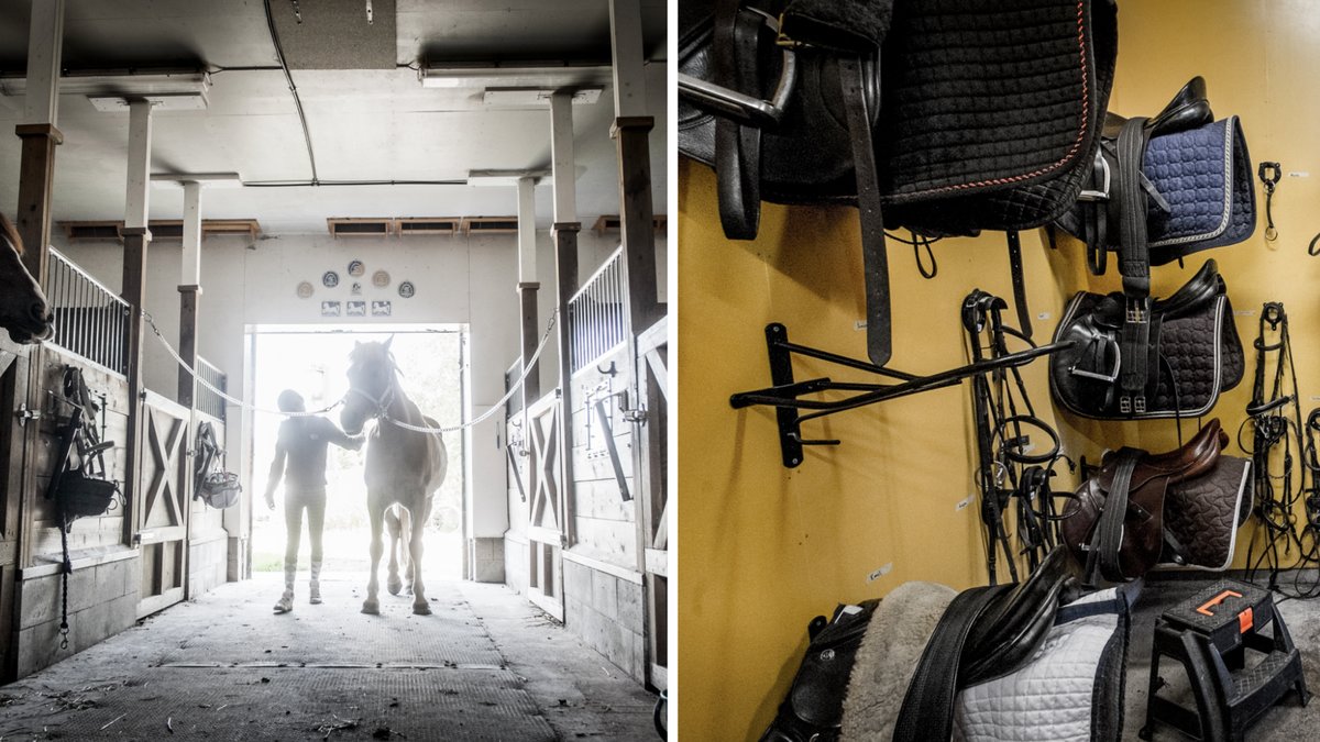 Man misstänks för flera våldtäkter mot barn på ridskola
