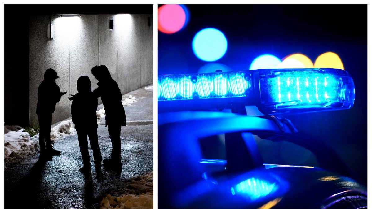 Rånarna kom över en mobiltelefon och en klocka.