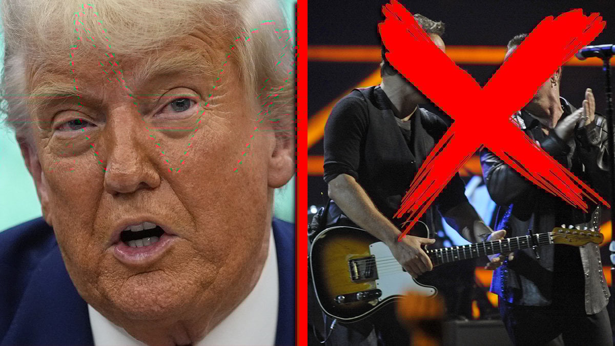 Donald Trump vill utreda artister 