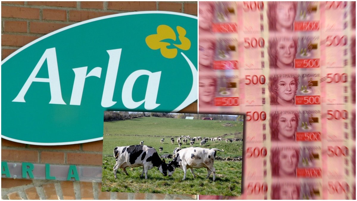Arla föreslår en rekordstor utdelning. 