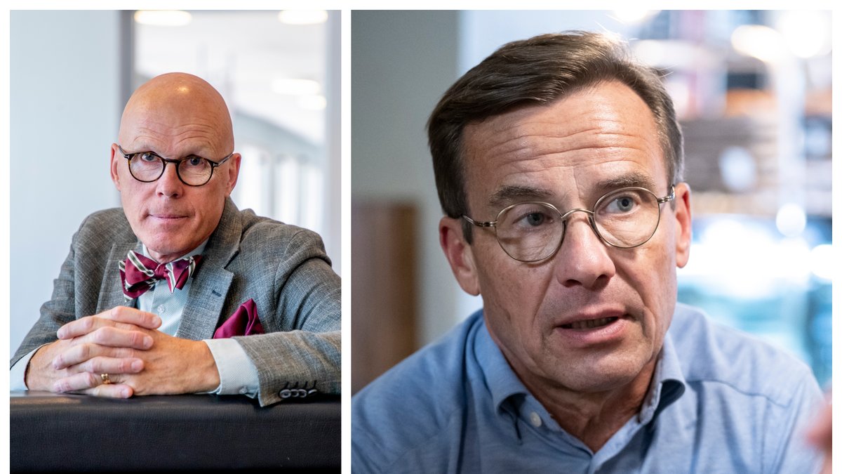 Statsvetaren Jonas Hinnfors menar att M kan uppfattas som en lightversion av SD.