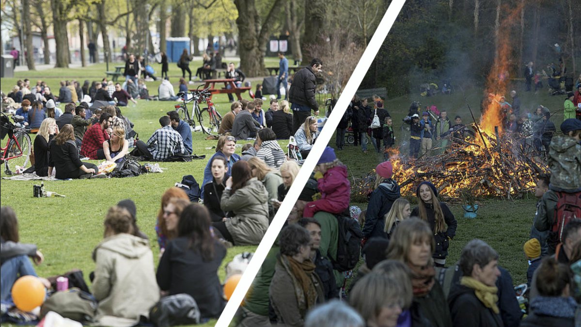 Historien pekar mot tyska rötter