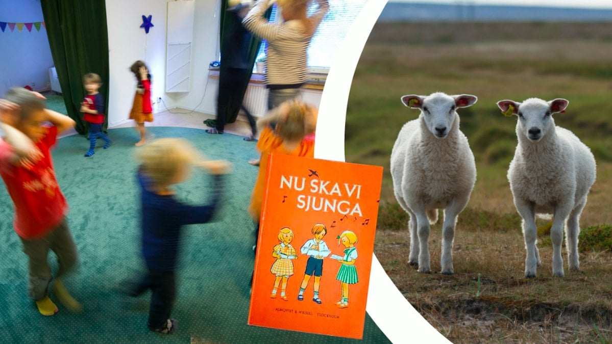 Barn som leker, två lamm