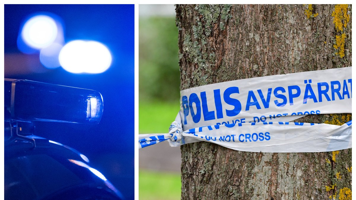Kvarlevorna hittades i Harads utanför Boden.