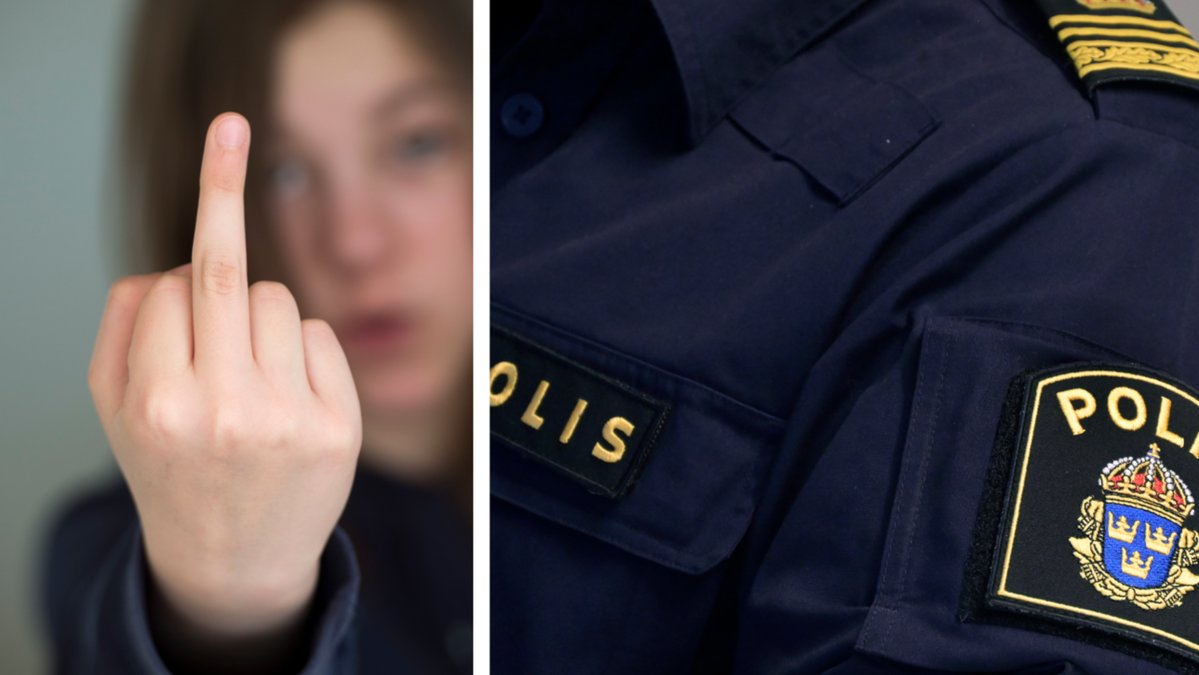 Att peka finger åt polisen är inte tillräckligt för ett omhändertagande. 
