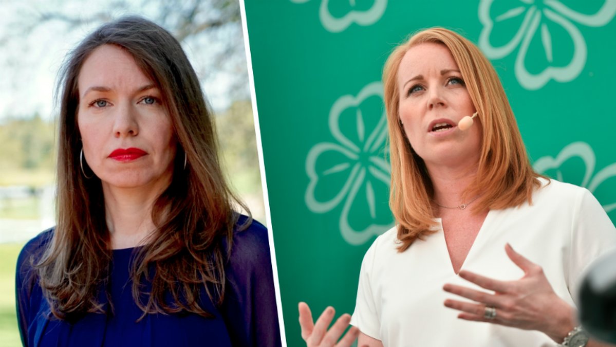 Medborgerlig Samling ställer upp i riksdagsvalet 2018.
