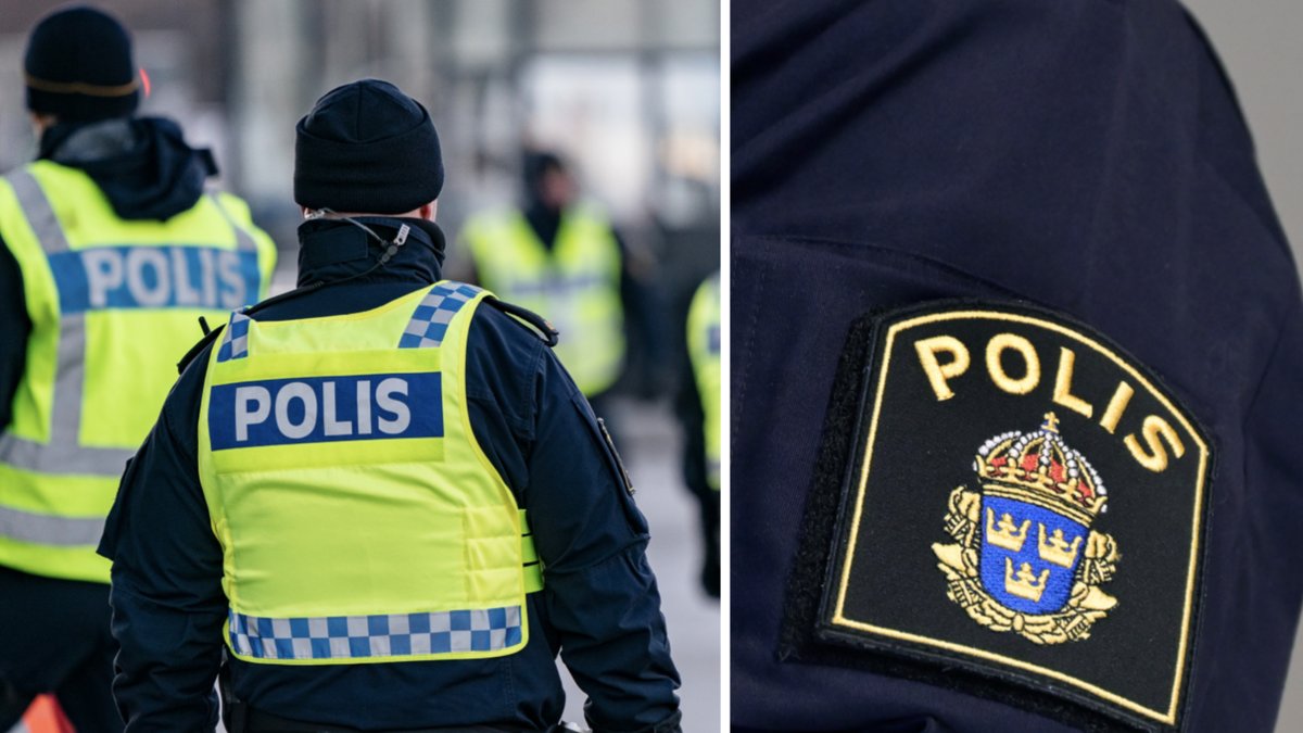 Två skånska poliser dömdes till fängelse. 