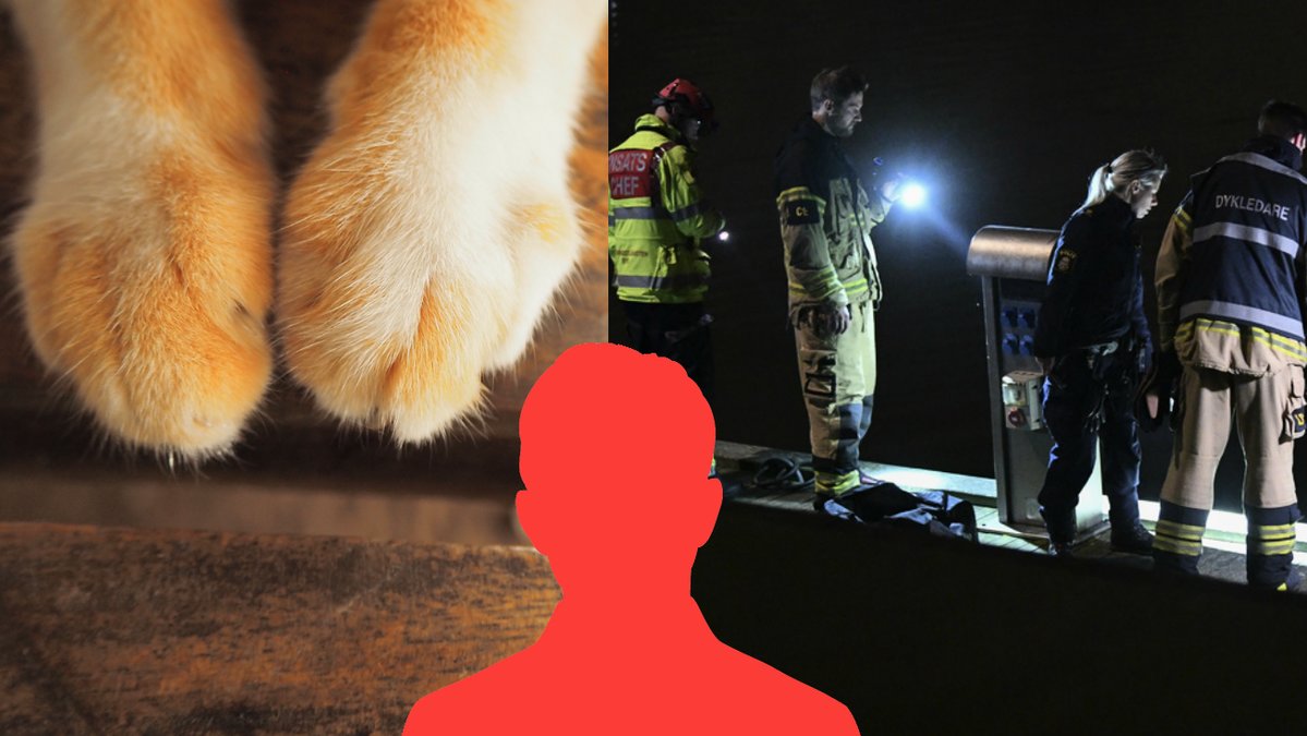 Man-dodade-katt-och-blev-jagad-av-grannar