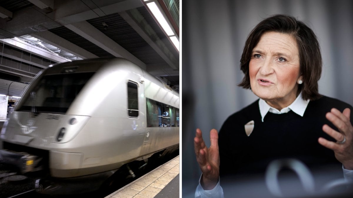 SJ släppte sina försenade jul- och nyårsbiljetter vid midnatt, natten till onsdag. Strax därpå kraschade bolagets sajt.