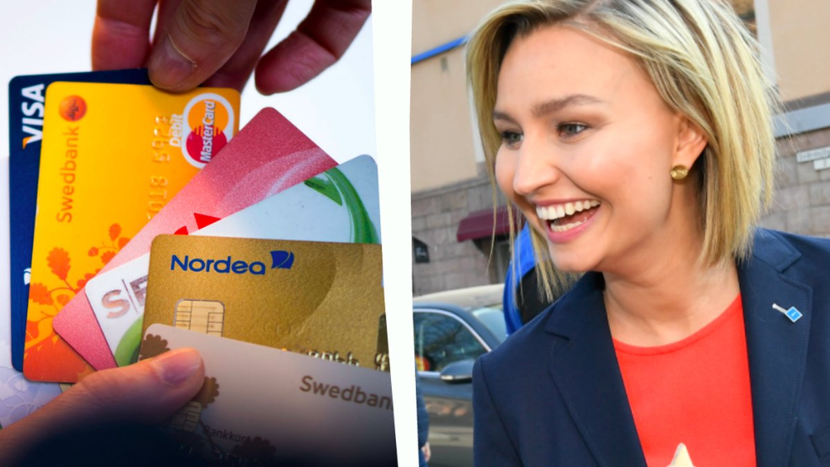 Ebba Busch Thor lön
